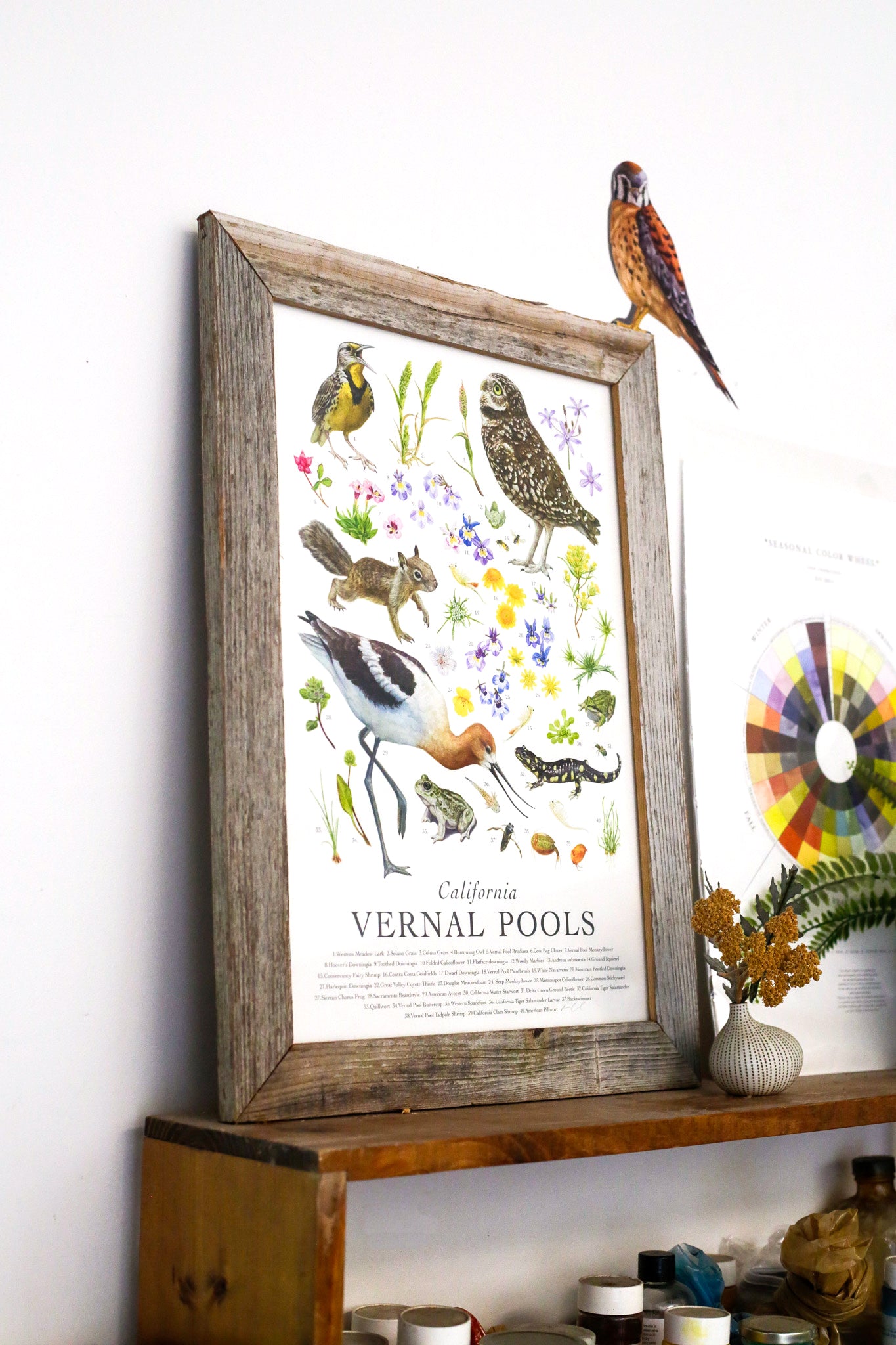 California Vernal Pools Poster