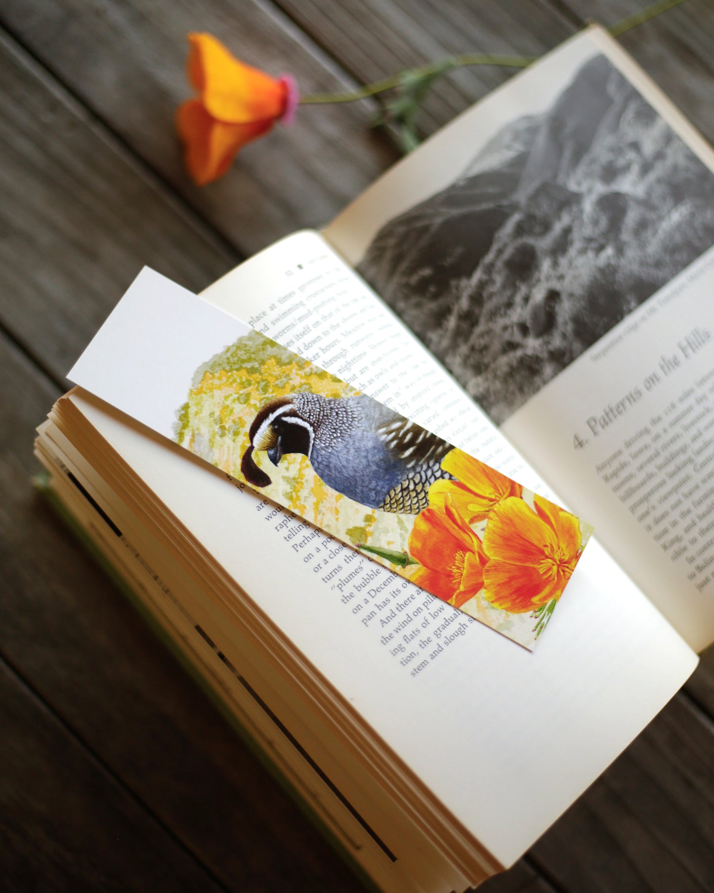 Bookmark of a quail standing behind some poppies.