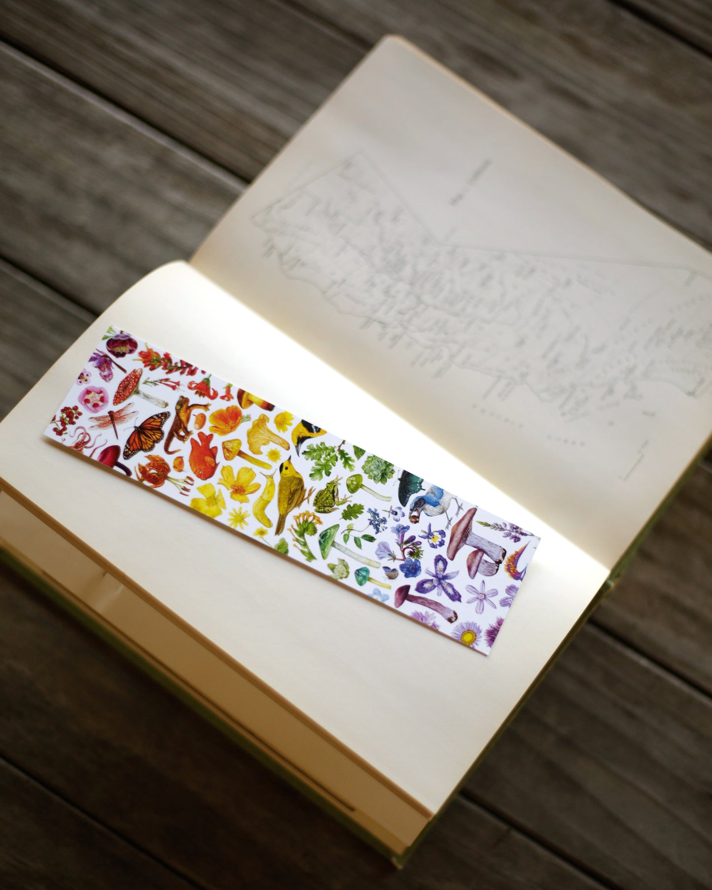Bookmark of various California plants and animals arranged in rainbow colors.
