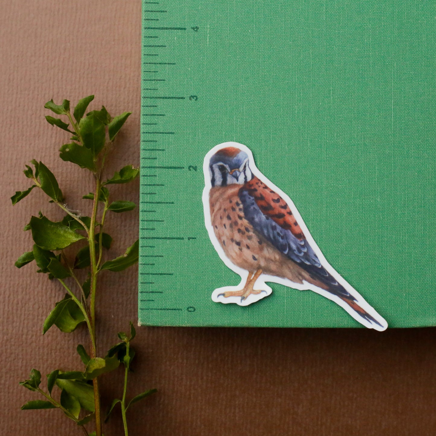 Prairie Fence Birds Vinyl Stickers: Western Meadowlark, American Kestrel, Loggerhead Shrike