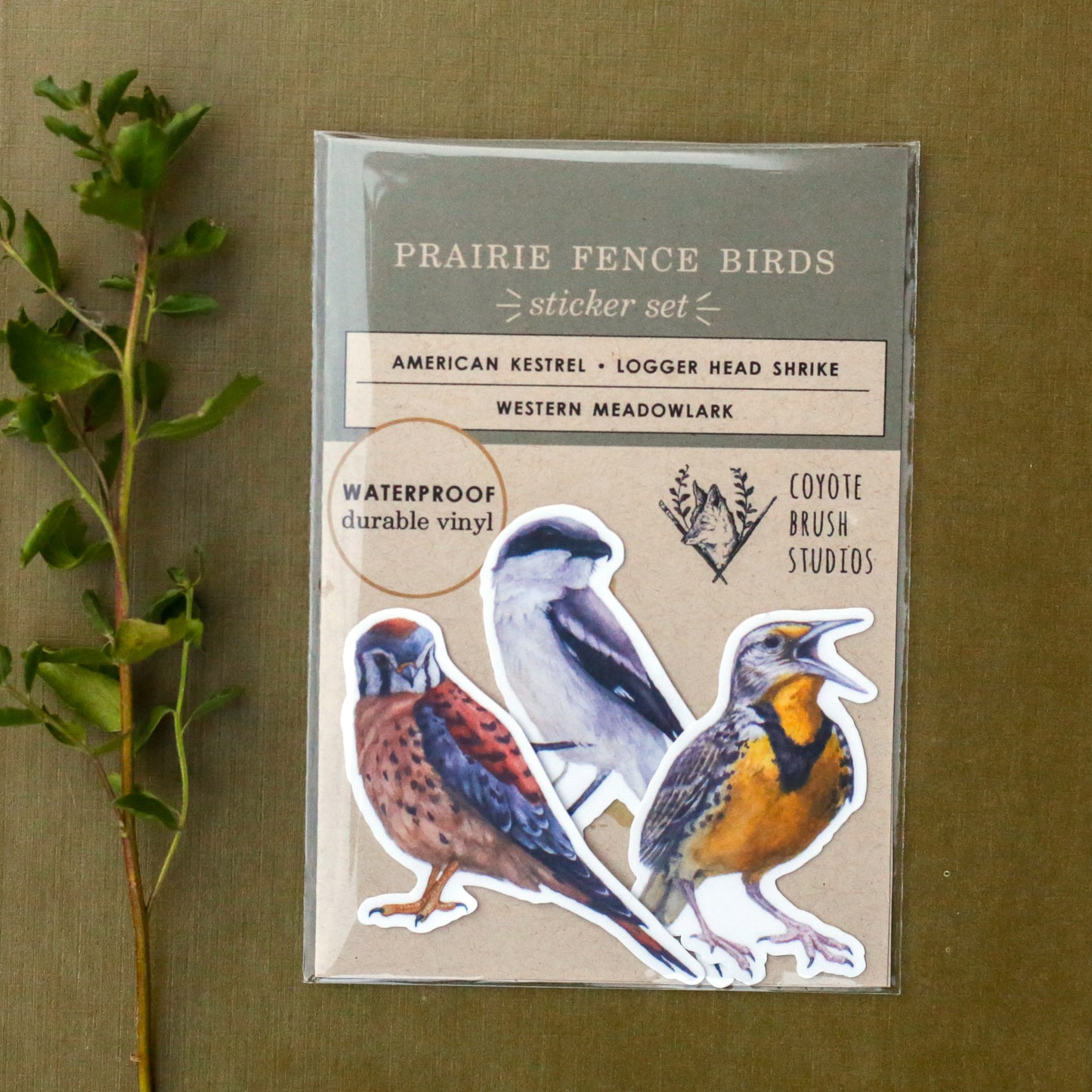 Prairie Fence Birds Vinyl Stickers: Western Meadowlark, American Kestrel, Loggerhead Shrike