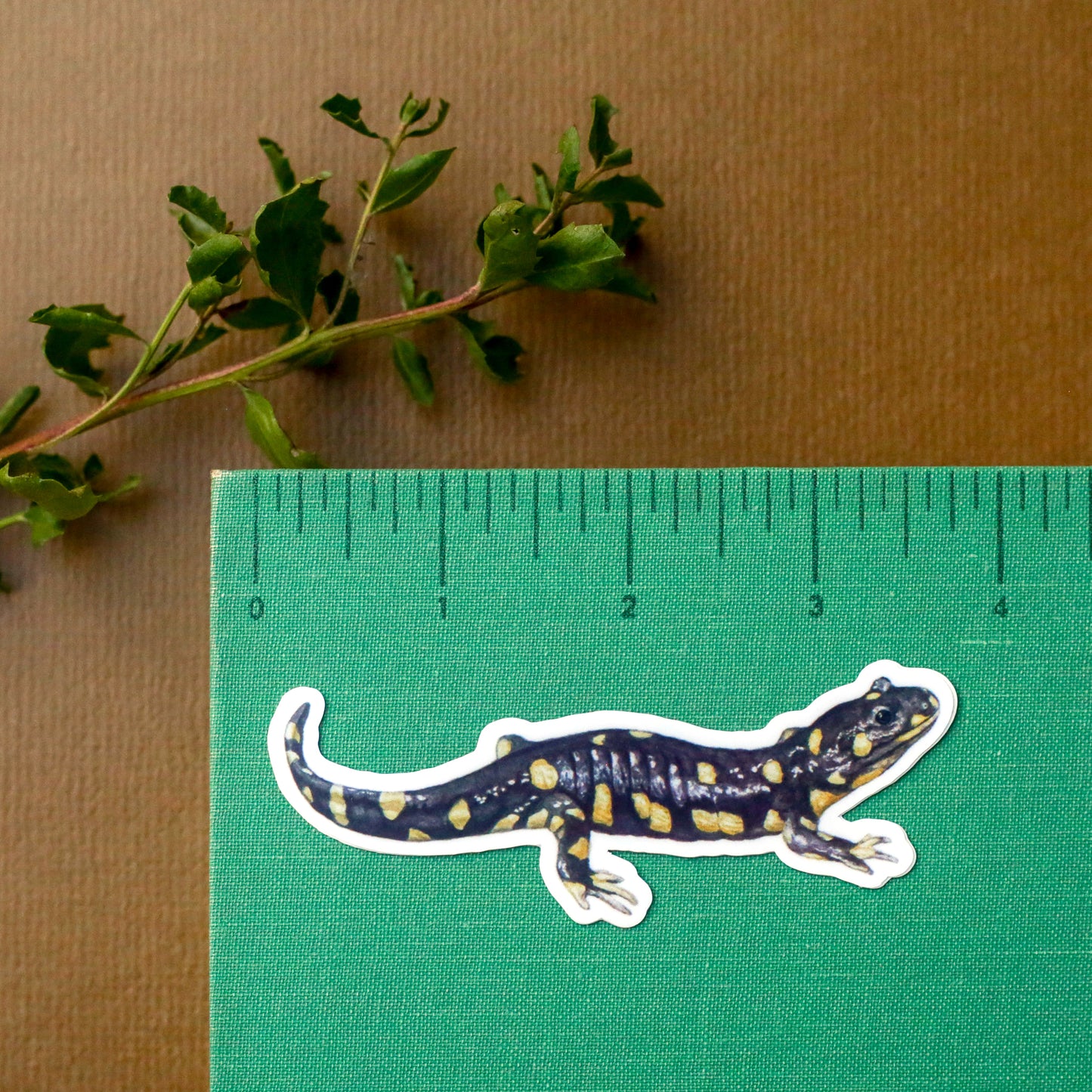 Burrow Buddies Vinyl Stickers: CA Tiger Salamander, Burrowing Owl, Ground Squirrel