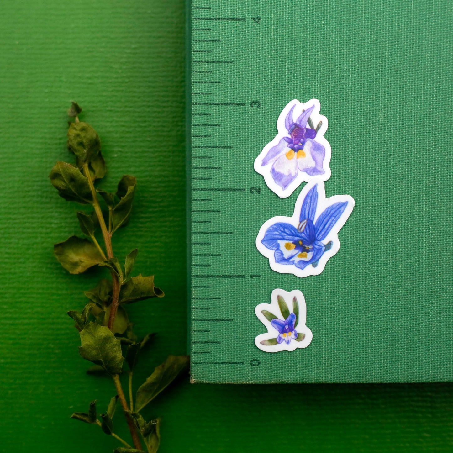 Vernal Pool Flora Vinyl Stickers: Downingia, Goldfield, Monkeyflower, Stickyseed, Woolly Marble, Brodiaea