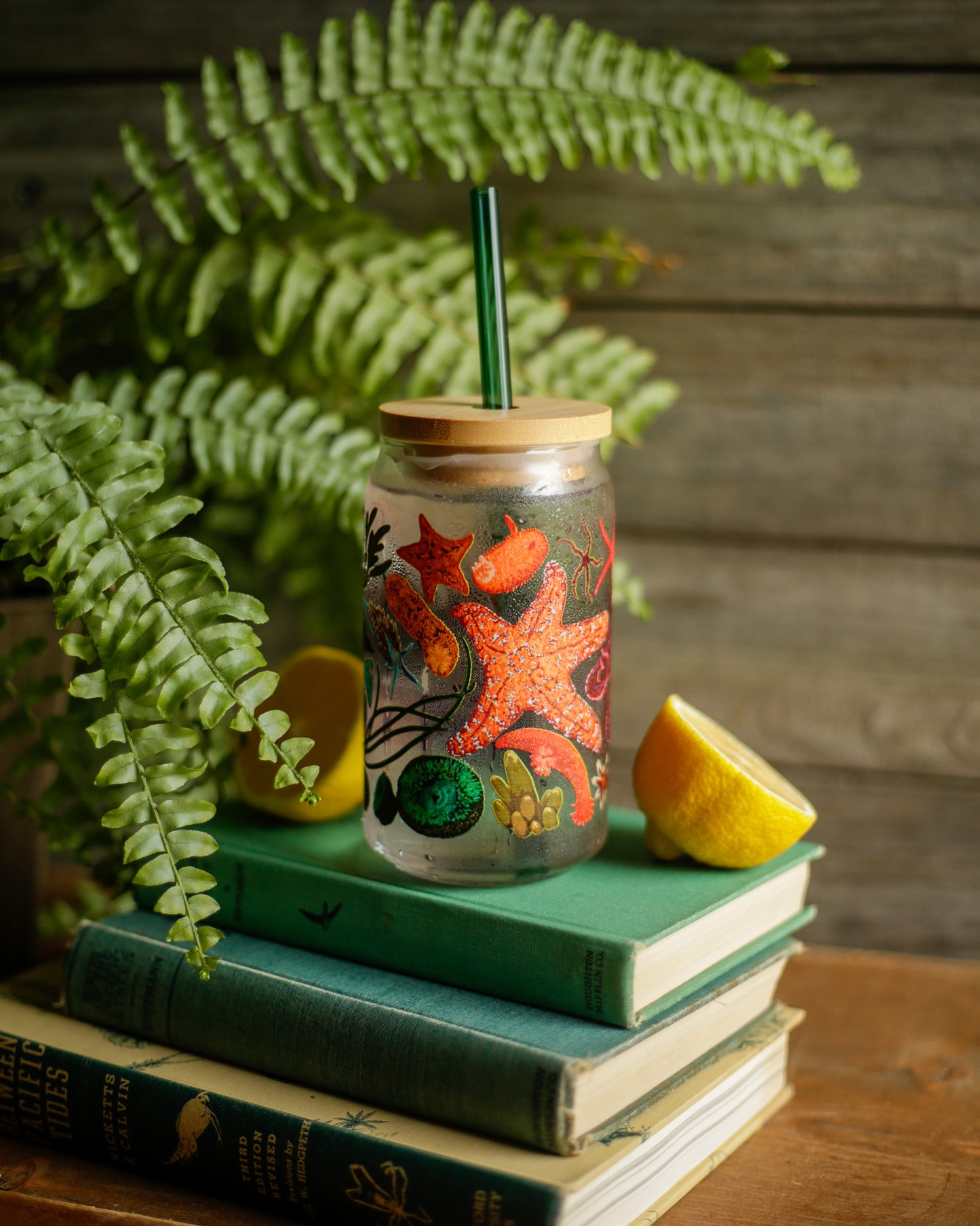 Tide Pool Can Glass - 16oz