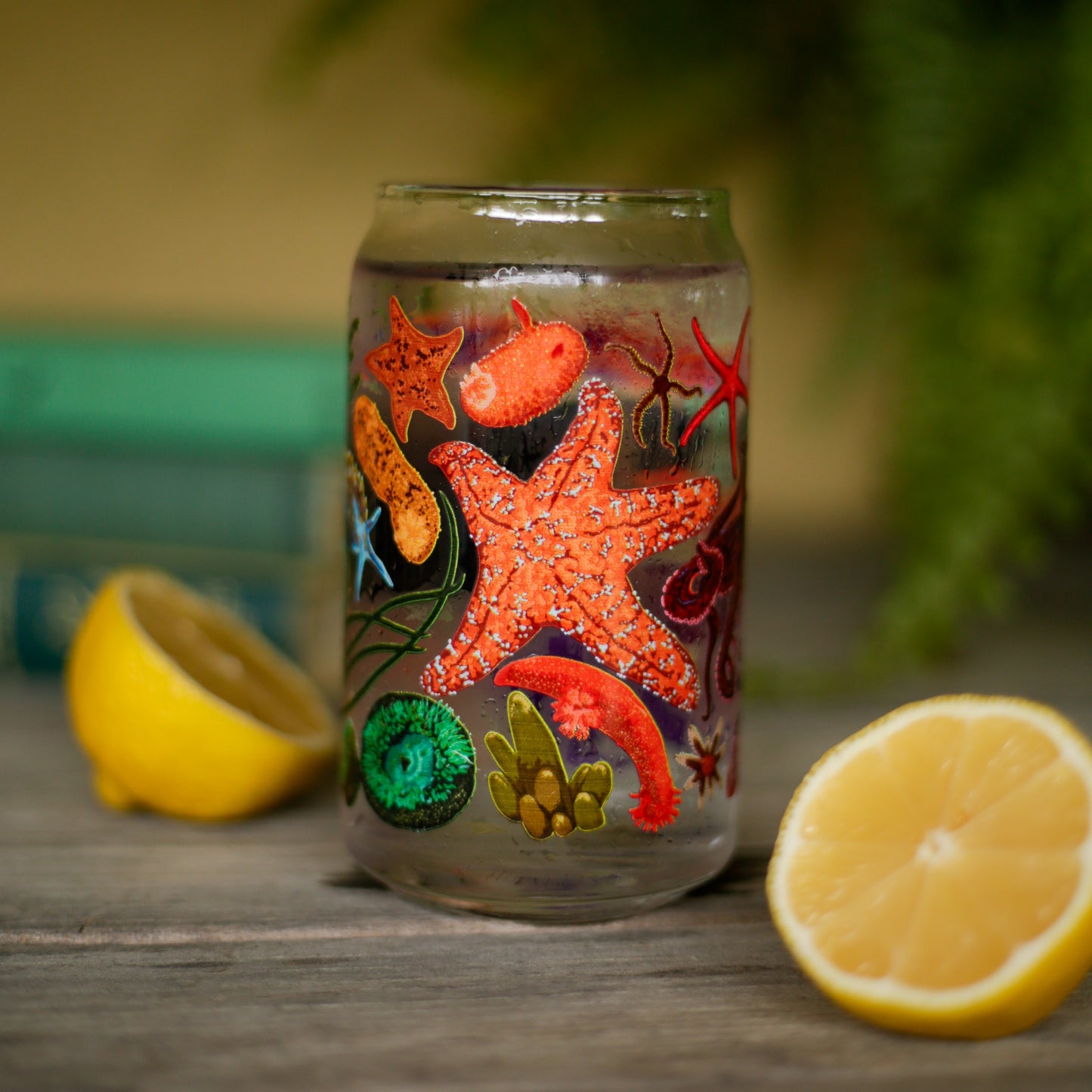 Tide Pool Can Glass - 16oz