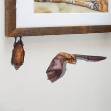 Big Brown Bat Wall Decal