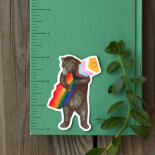 Progress Pride Rainbow LGBTQ CA Pride Sticker Set: Two Vinyl Rainbow Bear Stickers