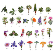 Magnets: Waterproof Native California Flora and Fauna Magnets