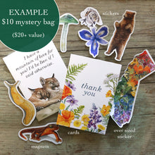 Mystery Seconds Grab Bags