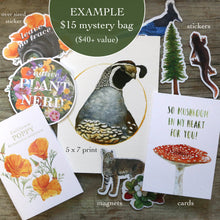 Mystery Seconds Grab Bags