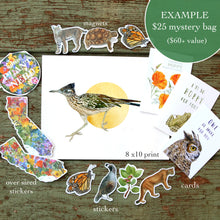 Mystery Seconds Grab Bags