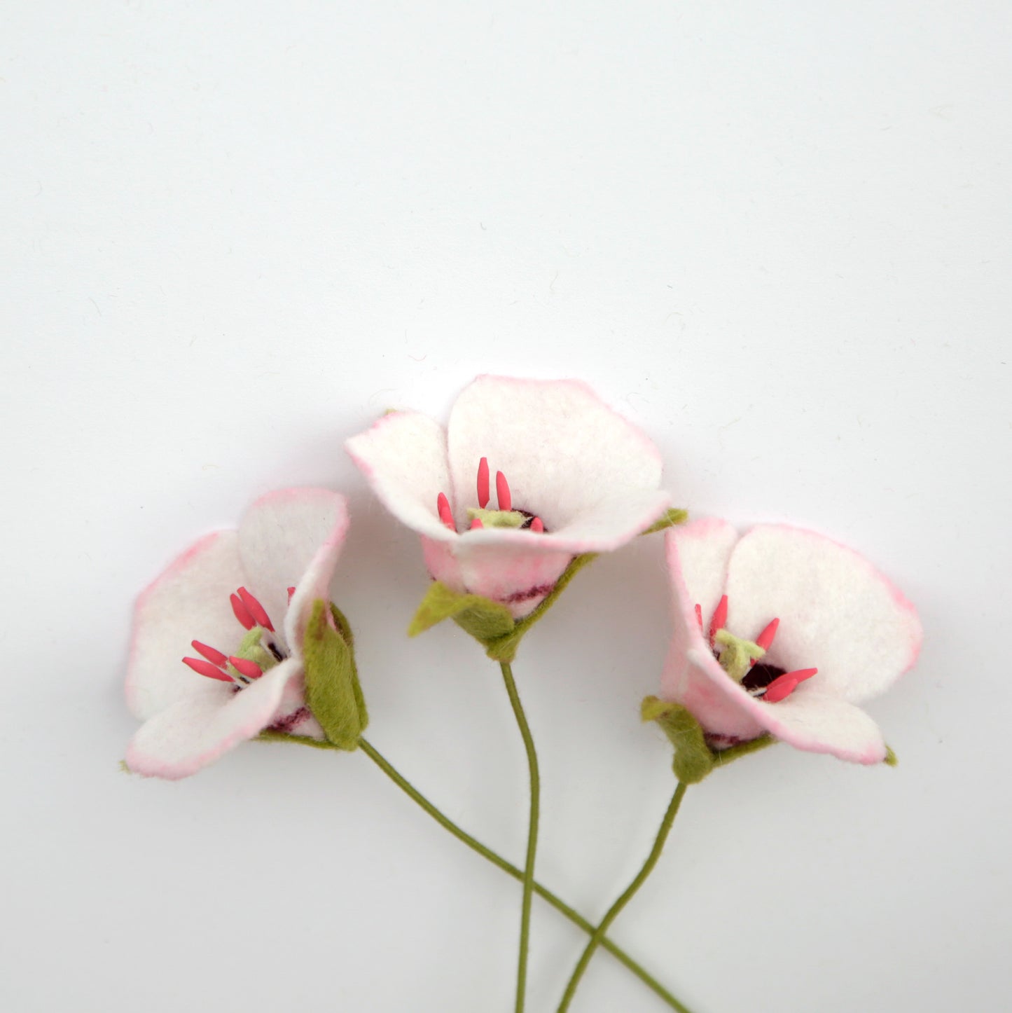 Catalina Mariposa Lily - Calochortus catalinae - fiber sculpture, fabric flower