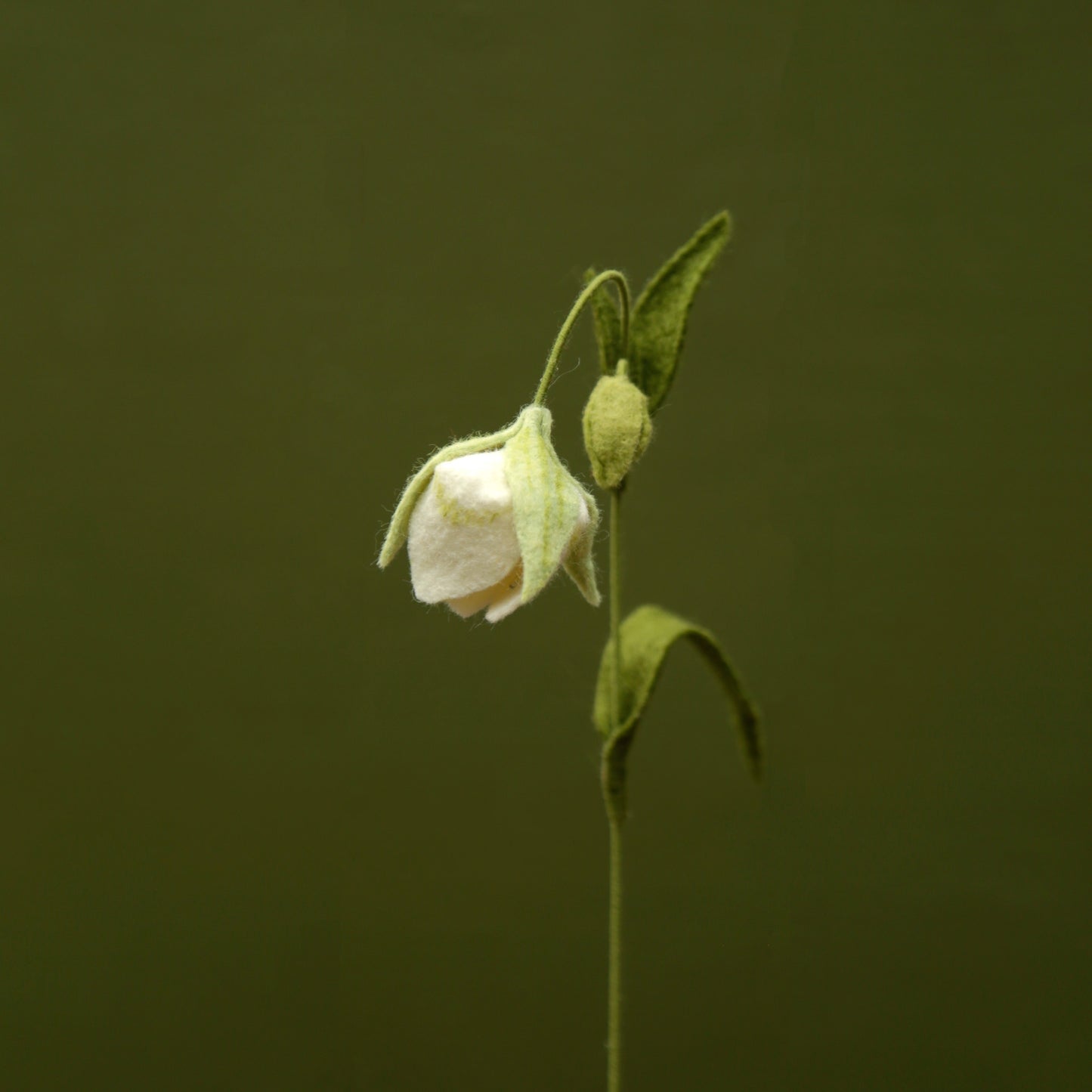 White Globe Lily - Calochortus albus - fiber sculpture, fabric flower