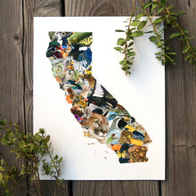California Wildlife 8x10 Poster - California Biodiversity Art