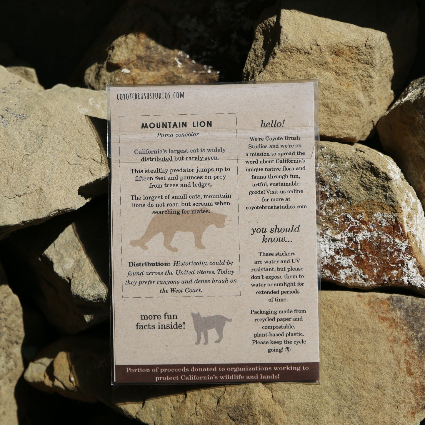 Felines of California Vinyl Stickers: Bobcat, Cougar, Mountain Lion