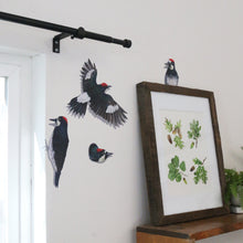 Acorn Woodpecker Wall Decals