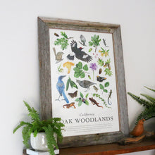 California Oak Woodlands Poster