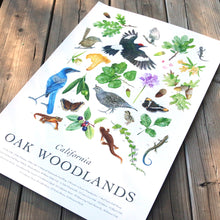 *B-Grade Seconds* California Oak Woodlands Poster