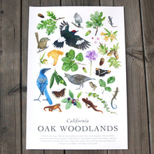 *B-Grade Seconds* California Oak Woodlands Poster