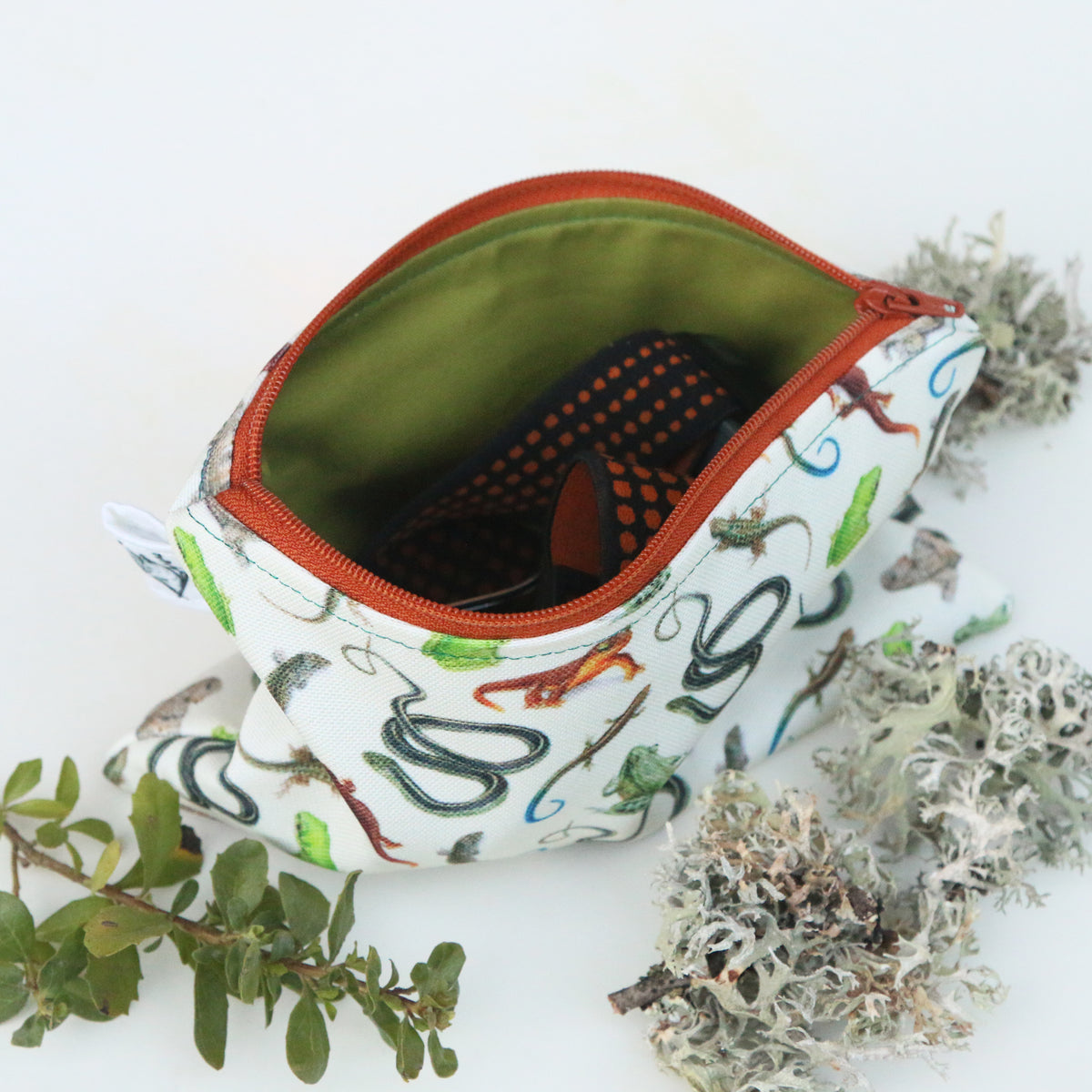 Medium California Reptiles and Amphibians Zipper Pouch - Travel Organizer Bag, Flat Purse