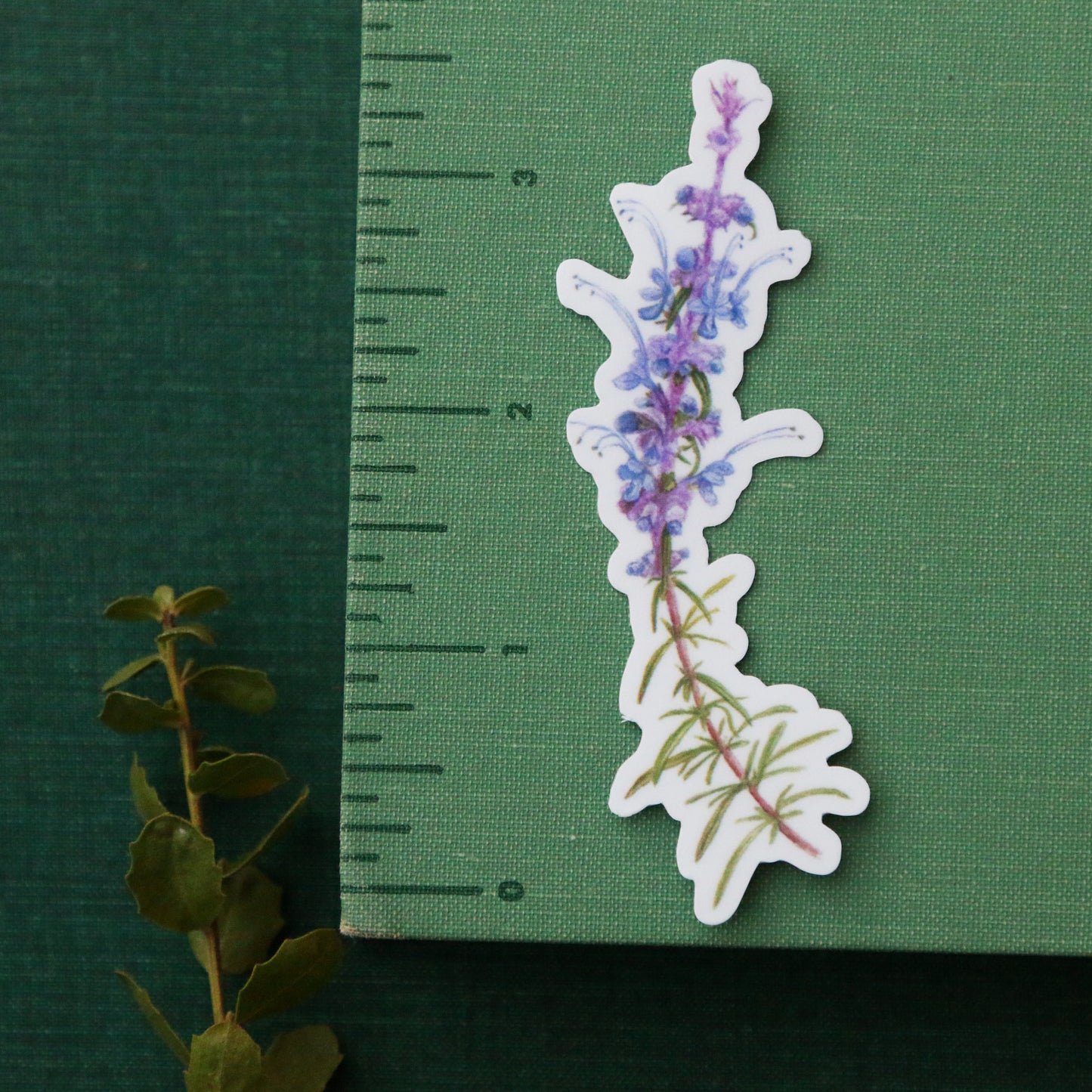 Chaparral Wildflowers Vinyl Stickers: Late Blooming Mariposa Lily, Sticky Monkeyflower, CA Peony, Woolly Blue Curls