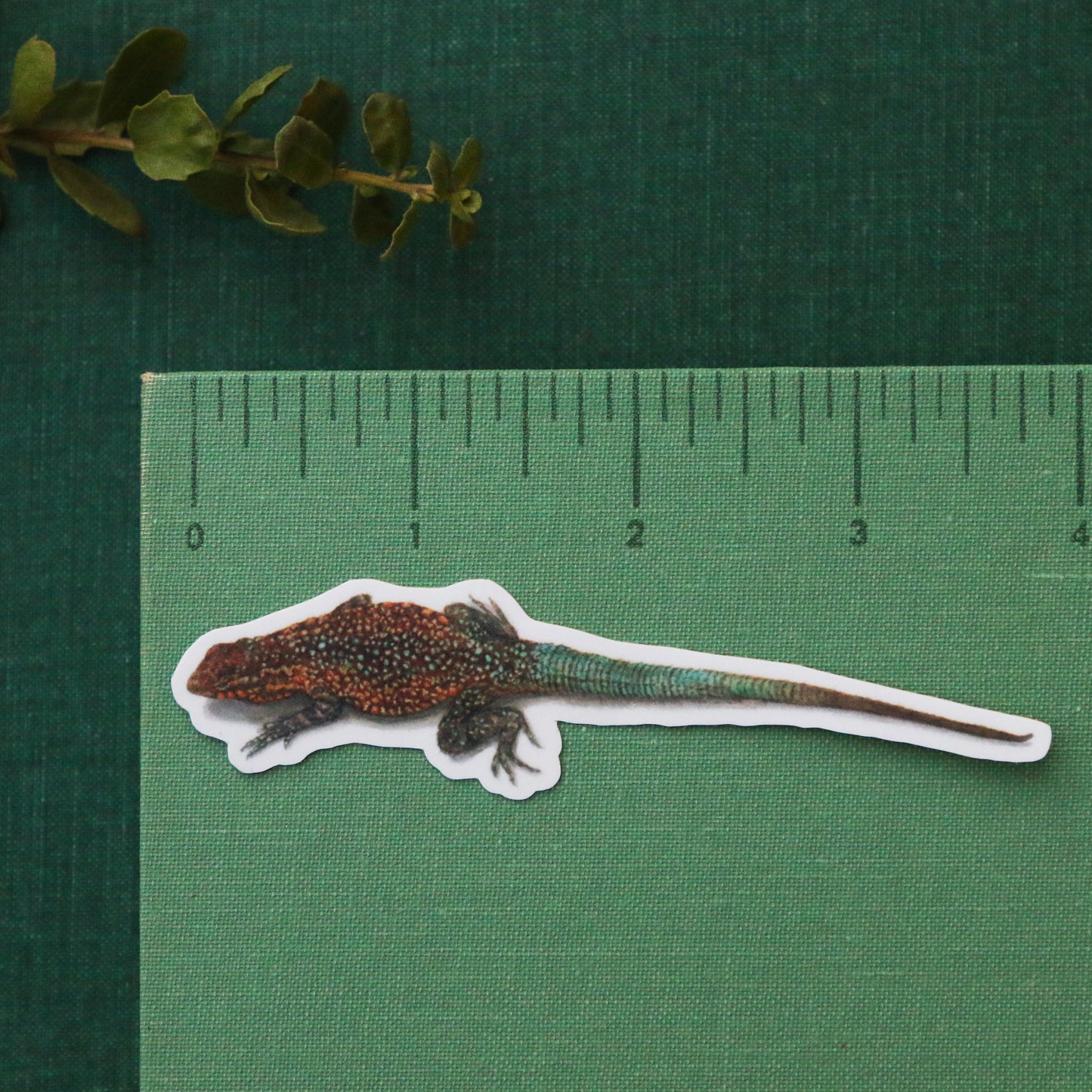 Chaparral Lizards Vinyl Stickers: Horned Lizard, Side-Blotched Lizard, CA Whiptail