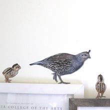 CA Quail Wall Decal Set