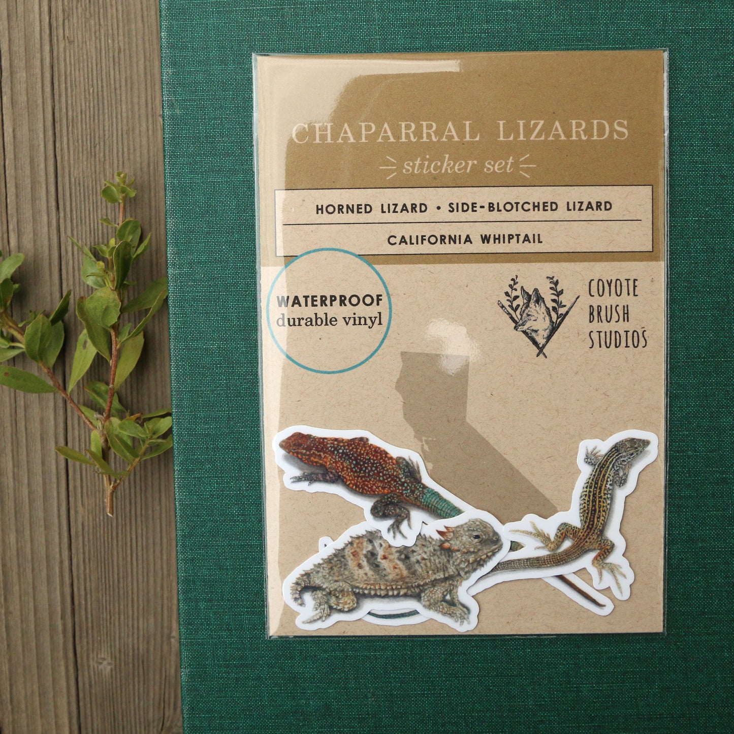 Chaparral Lizards Vinyl Stickers: Horned Lizard, Side-Blotched Lizard, CA Whiptail