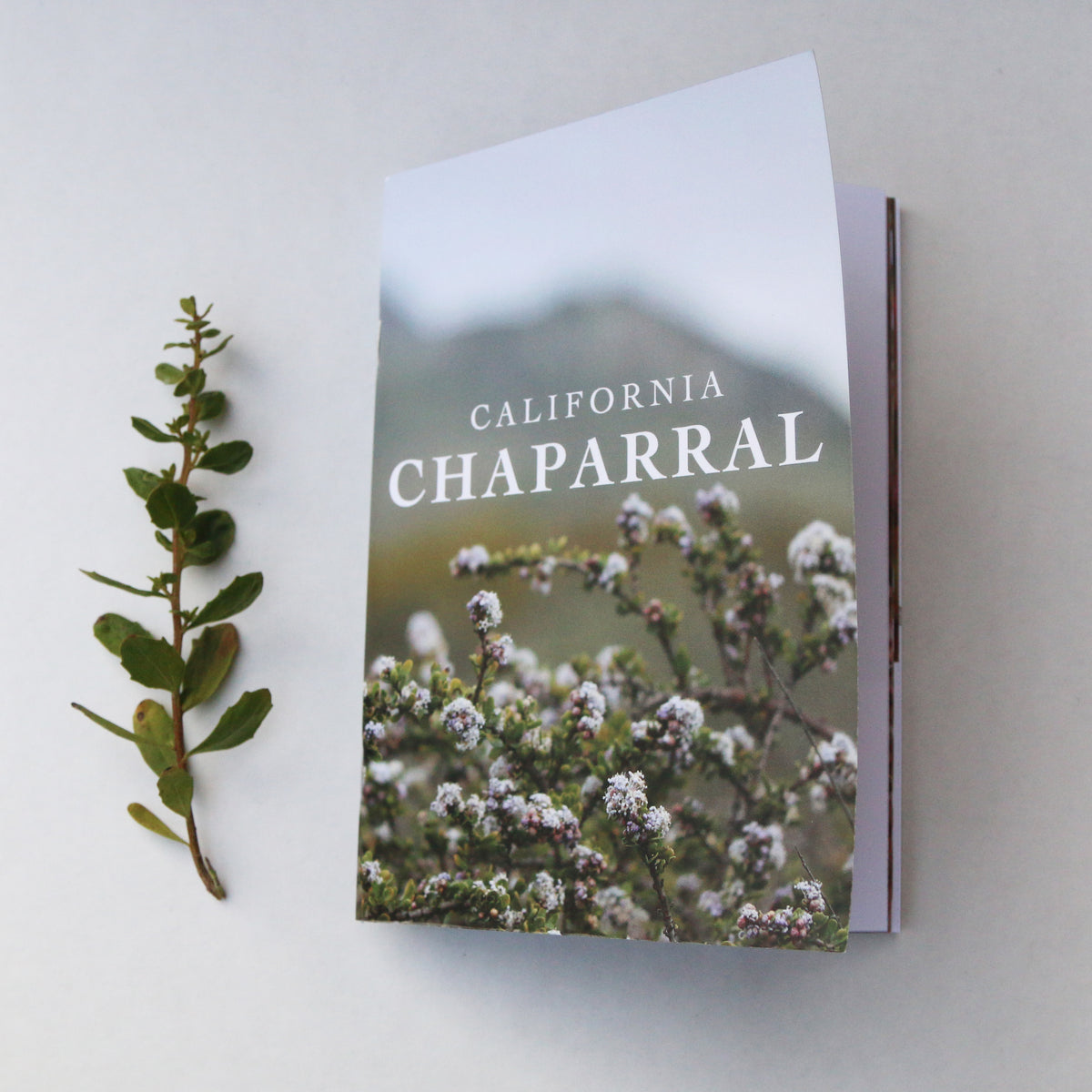 California Chaparral Booklet