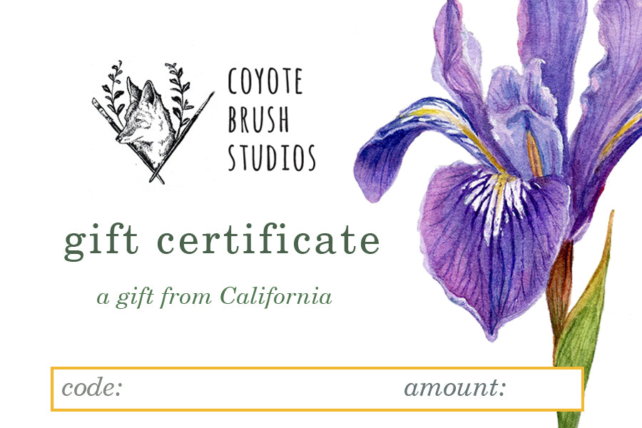Coyote Brush Studios Digital Gift Certificate