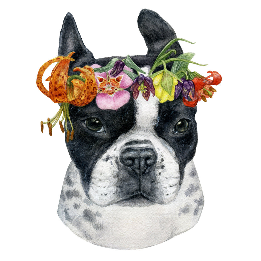 CA Native Plants + Pet Portrait Commission