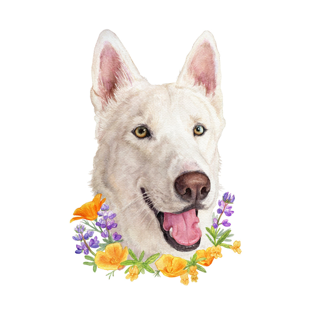 CA Native Plants + Pet Portrait Commission