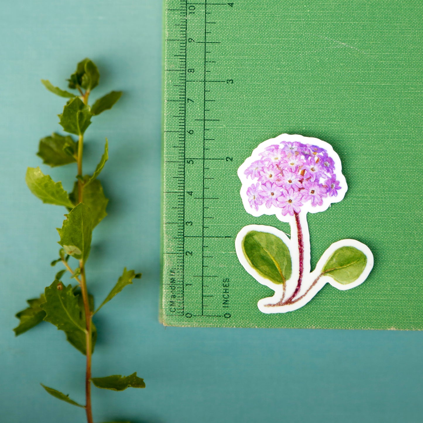 Sand Verbena Vinyl Stickers: Purple, Red, Yellow Sand Verbena