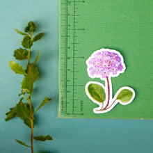 Sand Verbena Sticker Set, Three Vinyl Stickers: Purple Sand Verbena, Red Sand Verbena, Yellow Sand Verbena