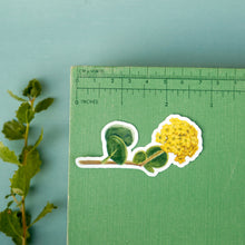 Sand Verbena Sticker Set, Three Vinyl Stickers: Purple Sand Verbena, Red Sand Verbena, Yellow Sand Verbena