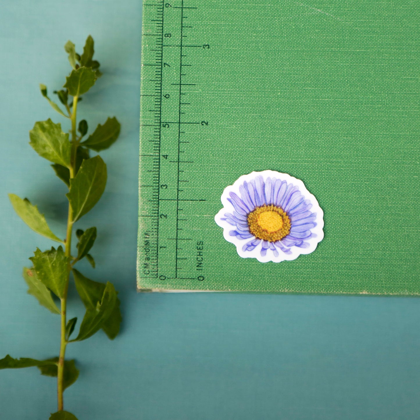 Beach Wildflowers Vinyl Stickers: Beach Morninglory, Beach Evening Primrose, Seaside Paintbrush, Seaside Daisy
