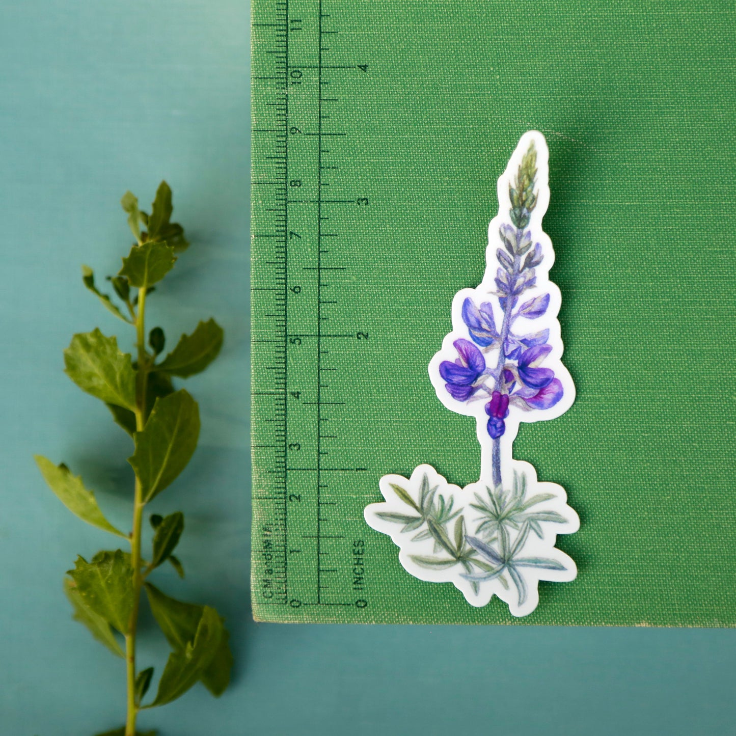 Coastal Dunes Vinyl Stickers: Buckwheat, Poppy, Lupine, butterfly, sand wasp