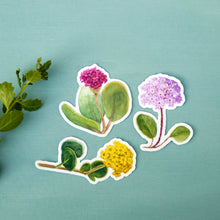 Sand Verbena Sticker Set, Three Vinyl Stickers: Purple Sand Verbena, Red Sand Verbena, Yellow Sand Verbena