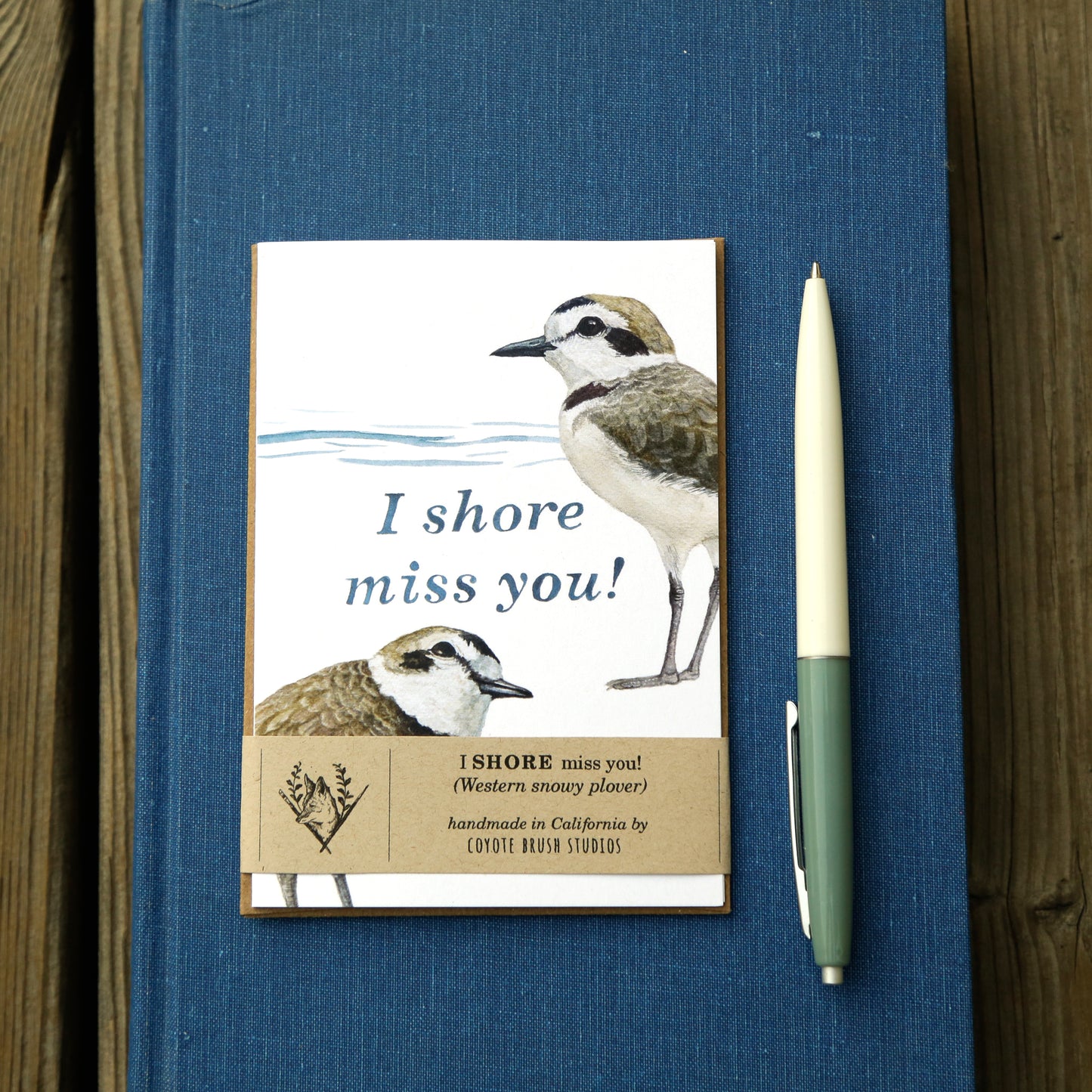 I SHORE miss you! - Snowy Plover Greeting Card