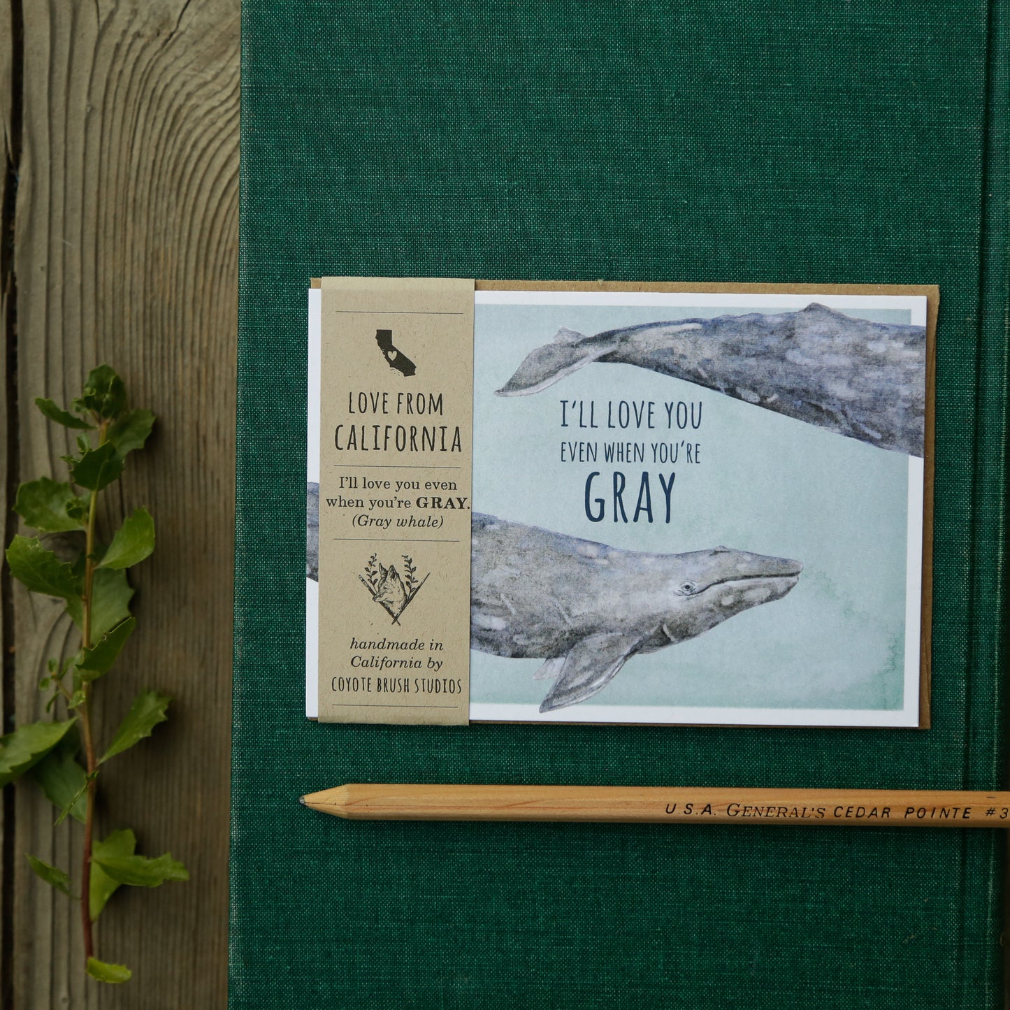 I'll love you even when you're GRAY! - Gray Whale Love Card