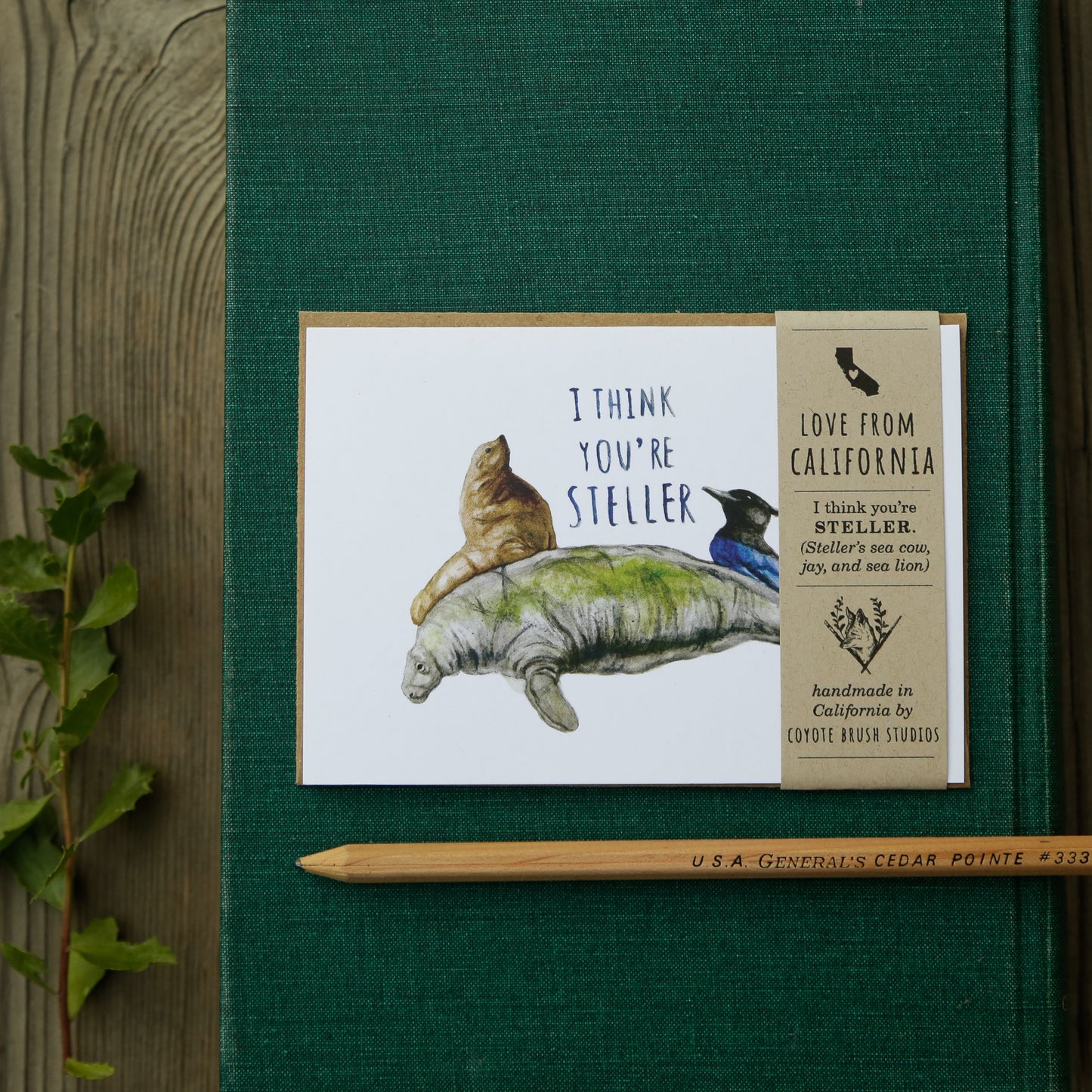 I Think You're STELLER! - Steller's Jay, Steller's Sea Cow, and Steller's Sea Lion Love card
