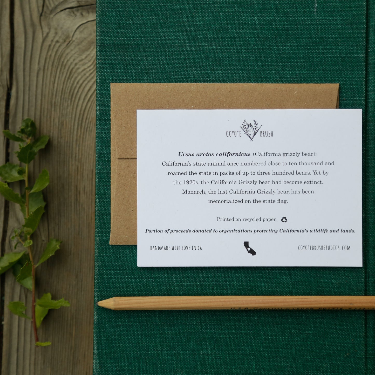 I can't BEAR to be without you! - California Grizzly State Flag Love Card