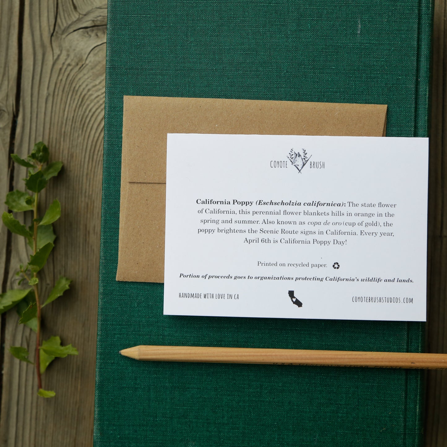 You make my heart POPPY! - California Poppy Love Card