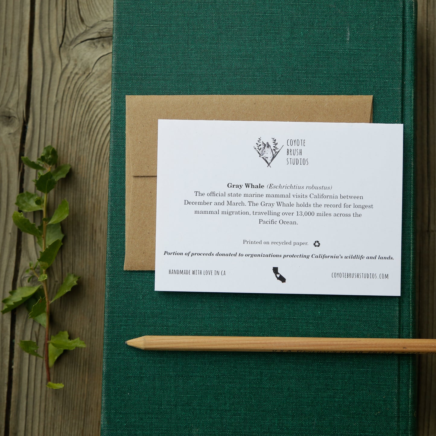 I'll love you even when you're GRAY! - Gray Whale Love Card