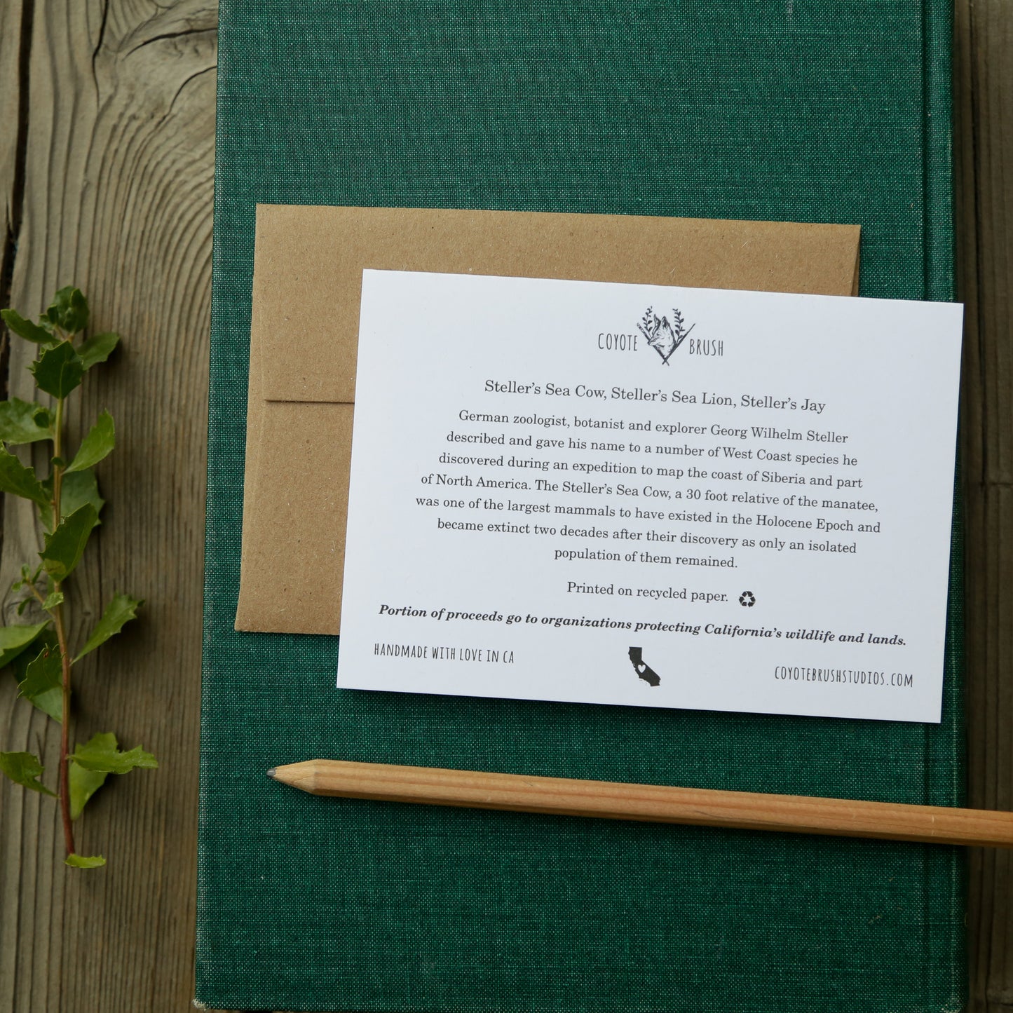 I Think You're STELLER! - Steller's Jay, Steller's Sea Cow, and Steller's Sea Lion Love card