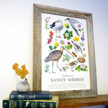 California Sandy Shores Poster