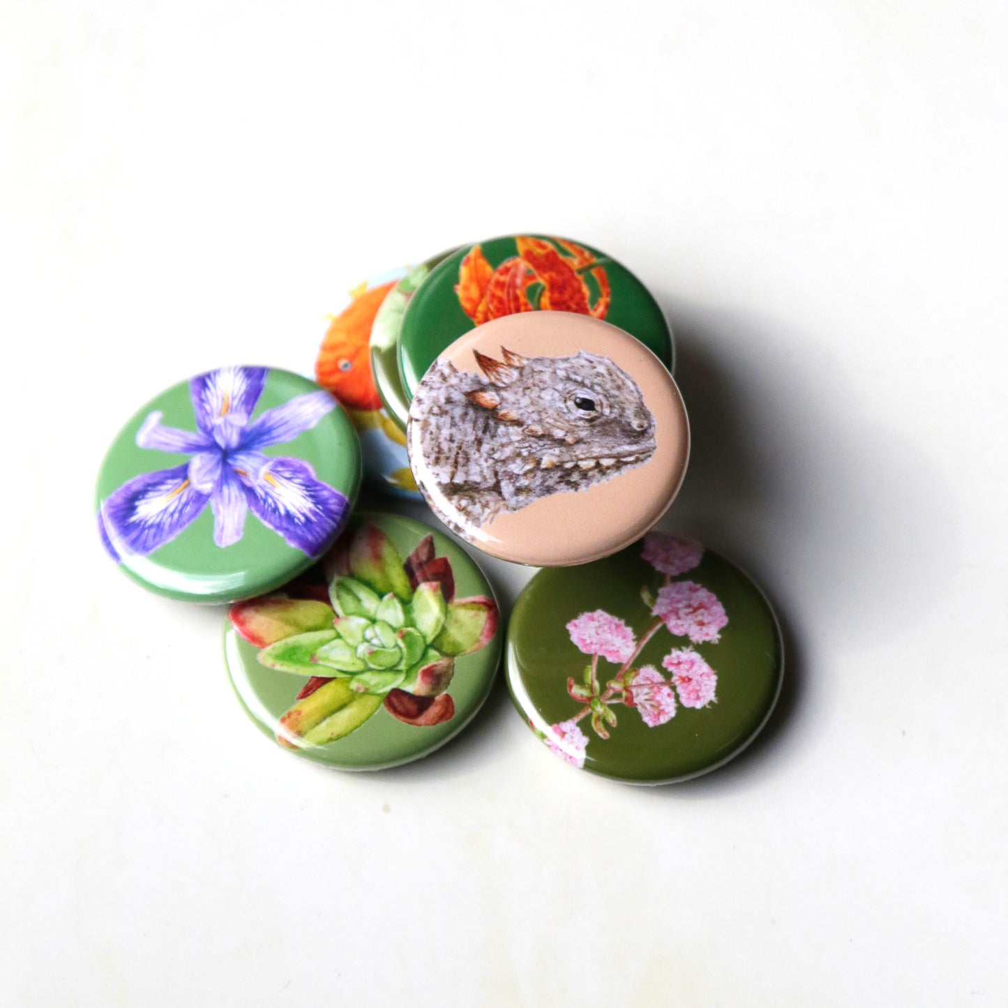 Round Magnets: Mix and Match Set of 4