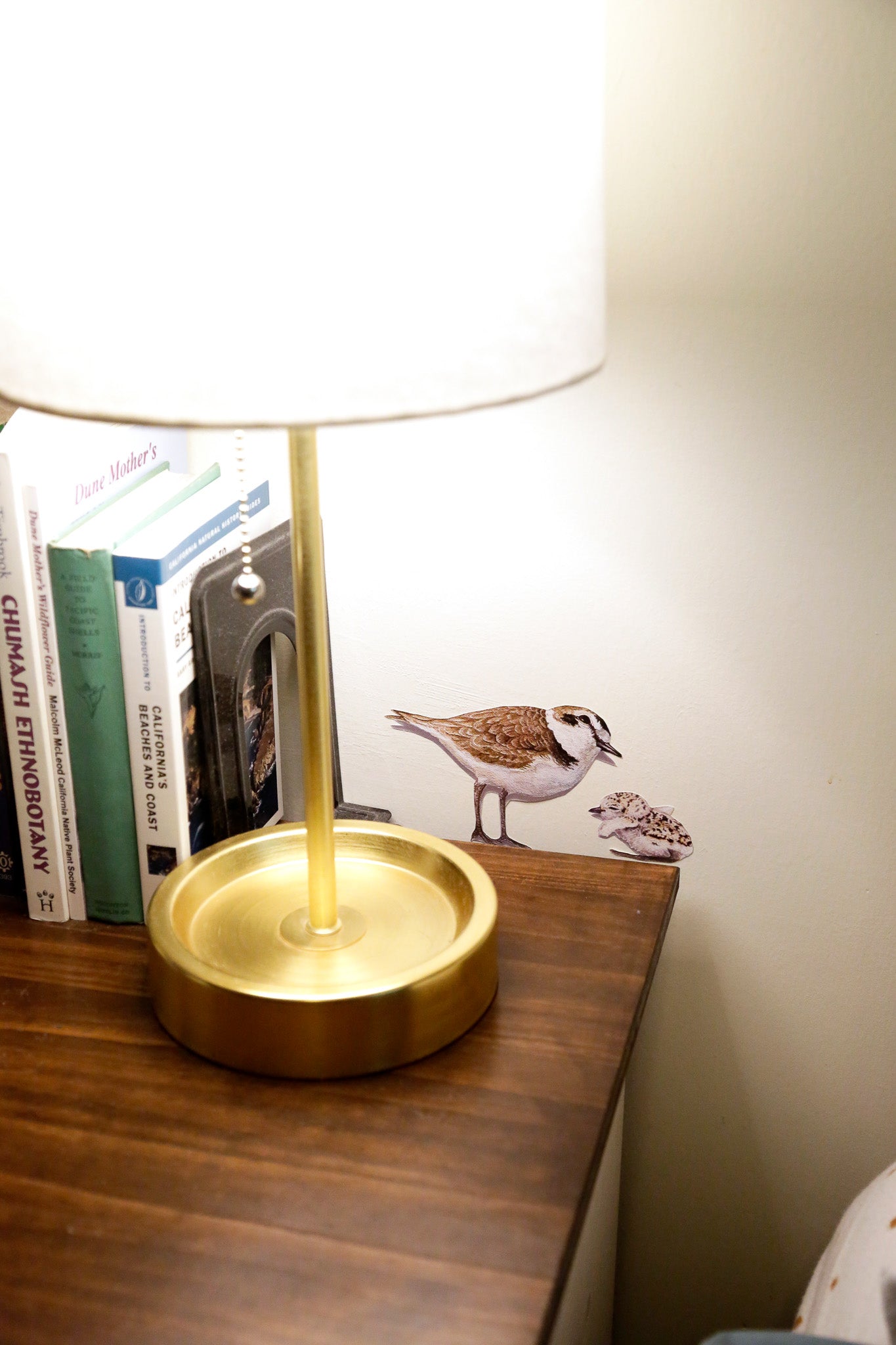 Snowy Plover Wall Decals