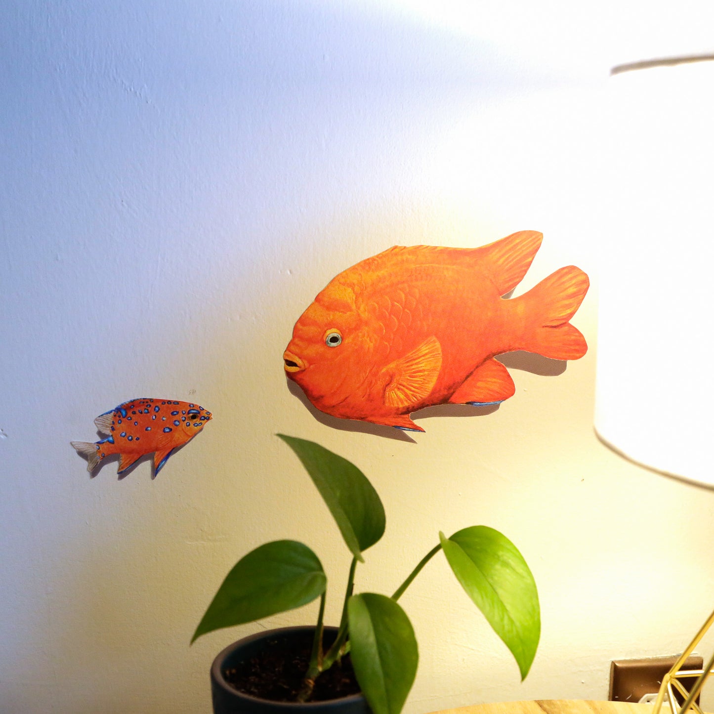 Garibaldi Parent and Juvenile Garibaldi Wall Decal Set
