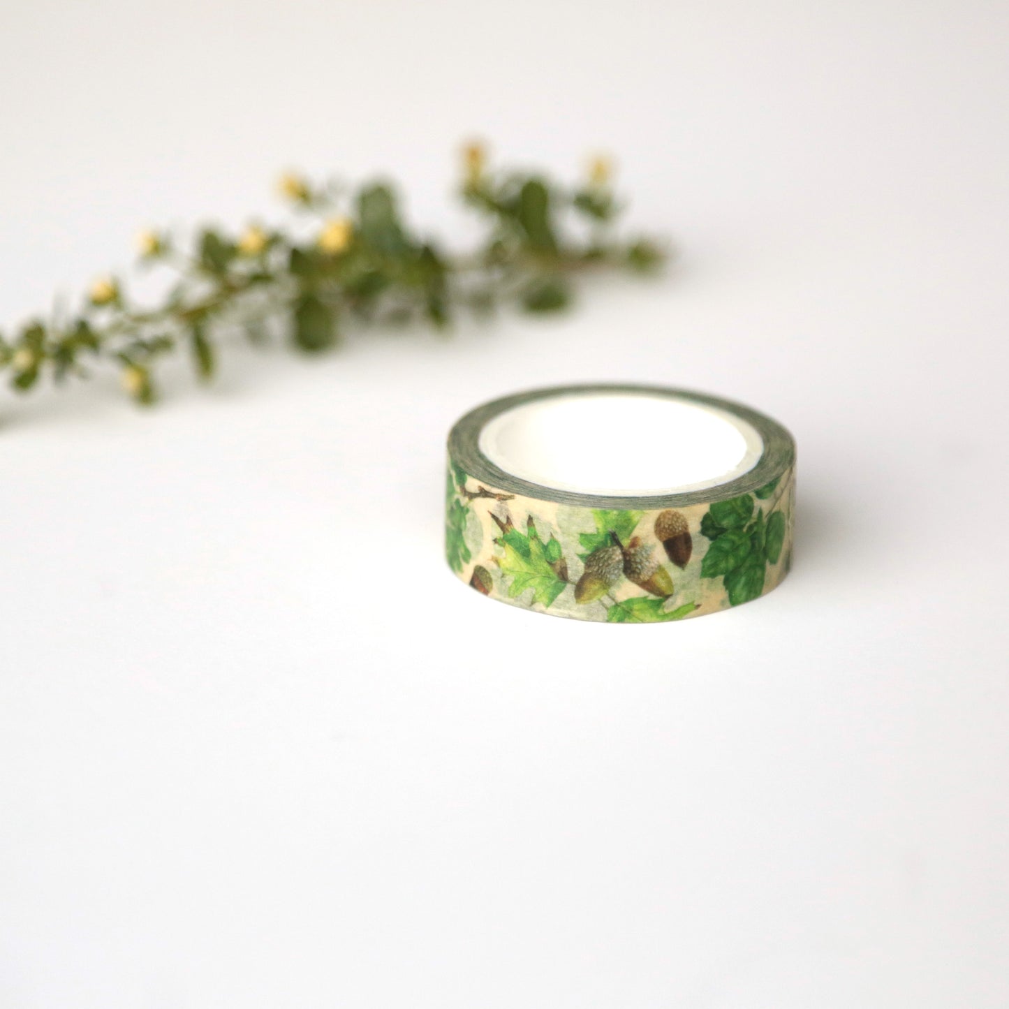 Roll of tan tape printed with oak leaves and acorns.